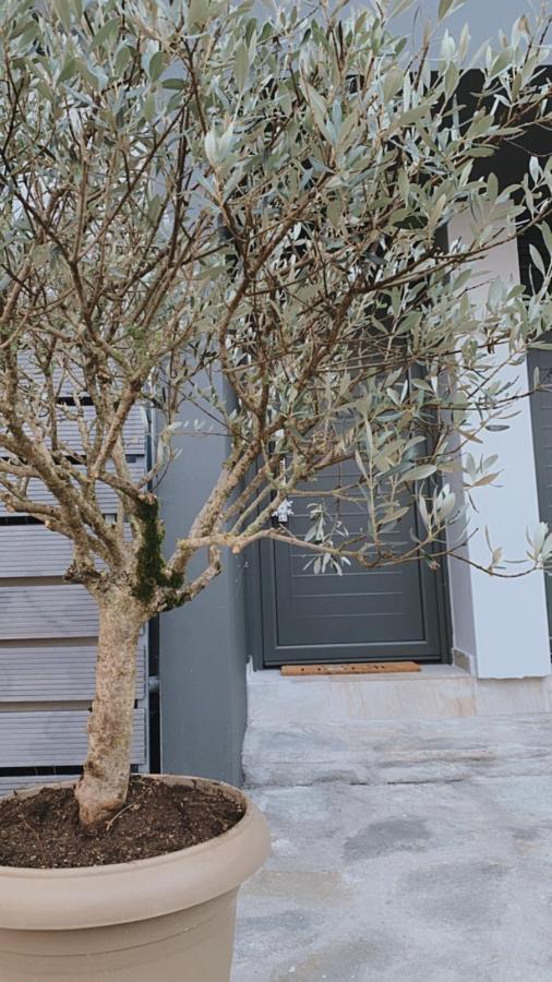 My Home Ioannina Exterior foto